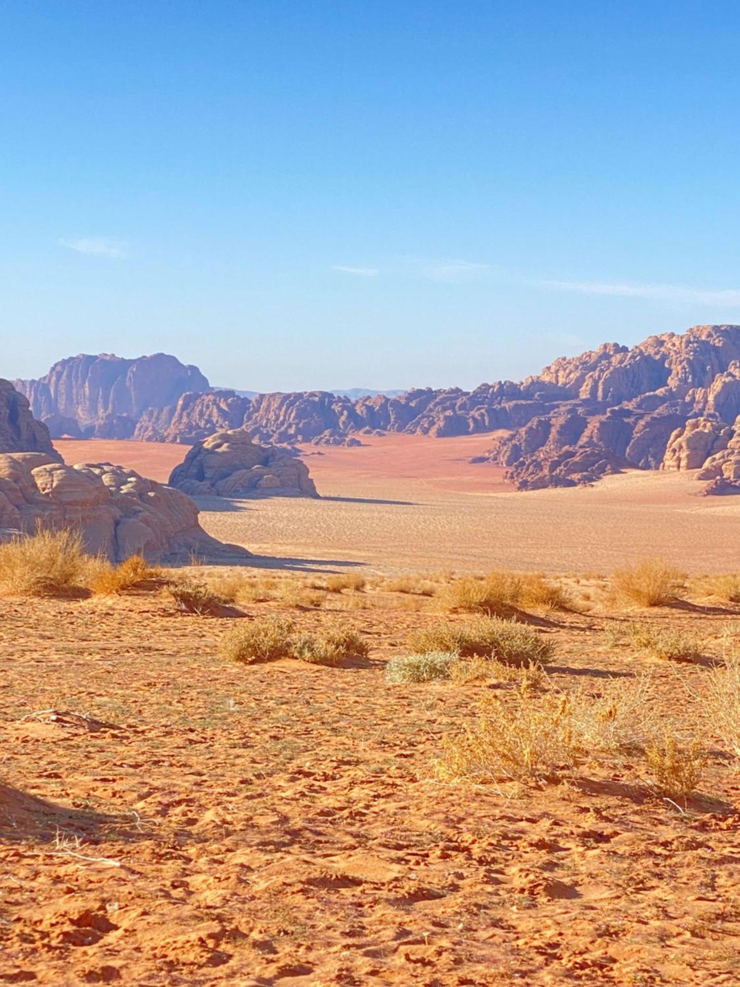 Tamim Luxury Wadi Rum Camp Exteriör bild