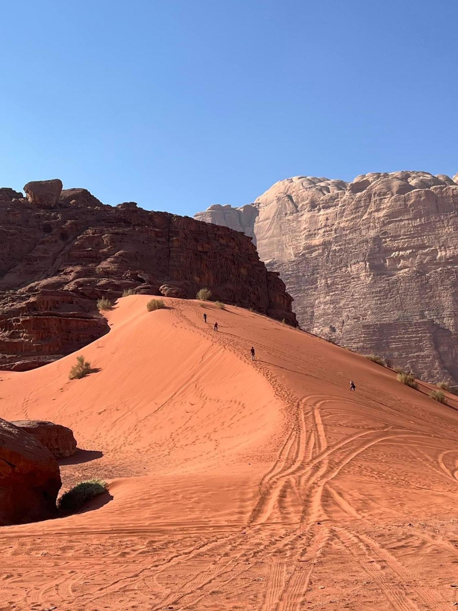Tamim Luxury Wadi Rum Camp Exteriör bild